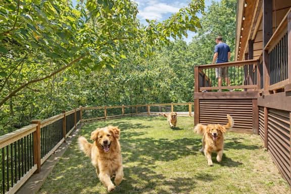 Secluded Luxury Cabin with Hot Tub & Yard - Image 5