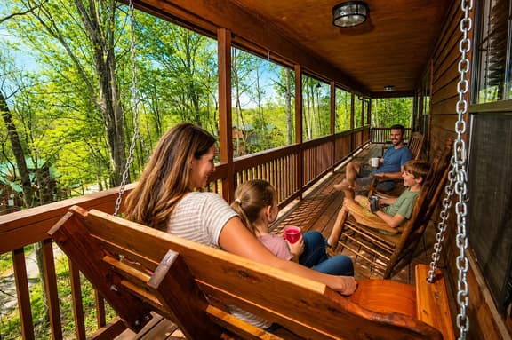 A Buttercup Bear Family Cabin Hot Tub & Firepit - Image 1